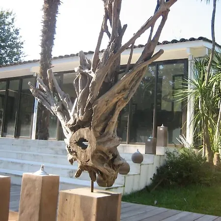 别墅 Villa Saint-Tropez *